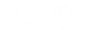 Expo 2020