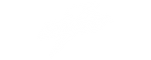 Gatorade