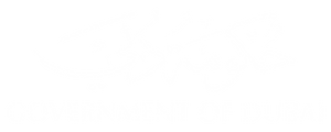 Government of Dubai