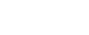 King Salman Park